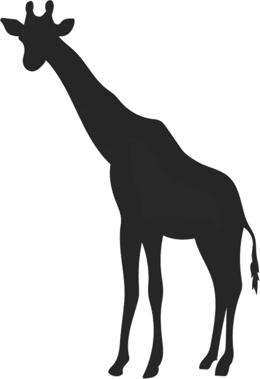 giraffe-h-1 giraffe h 1